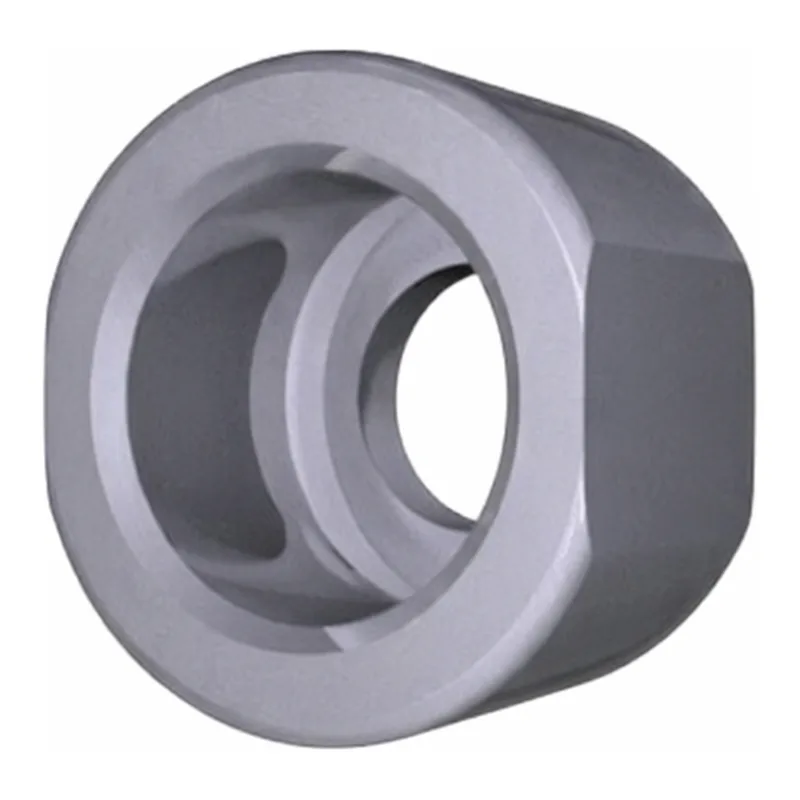 Waters APGC Ion Chamber Corona Cap