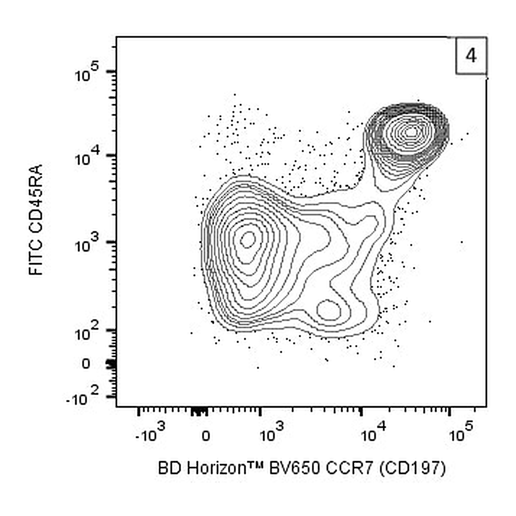 BD BV650 Mouse Anti-Human CCR7 (CD197)