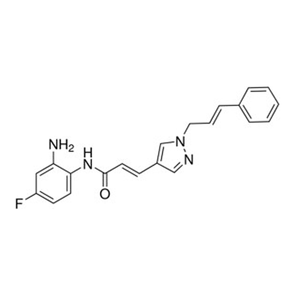 Merck RGFP966