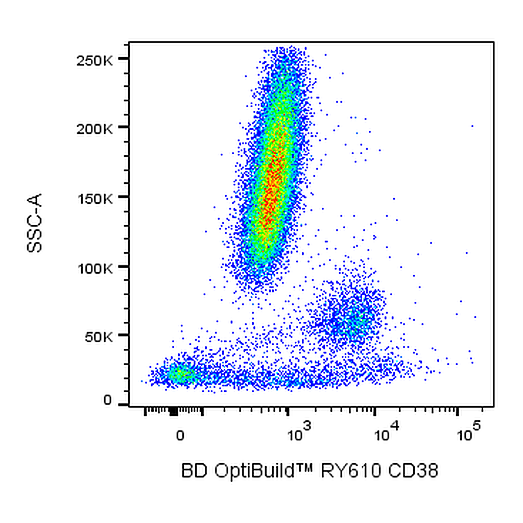 BD RY610 Mouse Anti-Human CD38