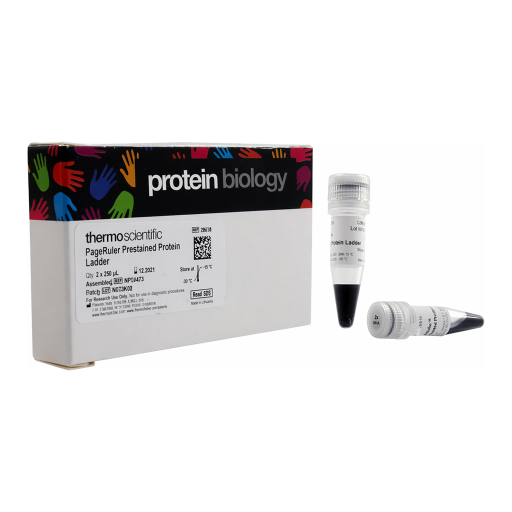 Thermo Fisher Scientific PageRuler Prestained Protein Ladder, 10 to 180 kDa, 2 x 250 &mu;L