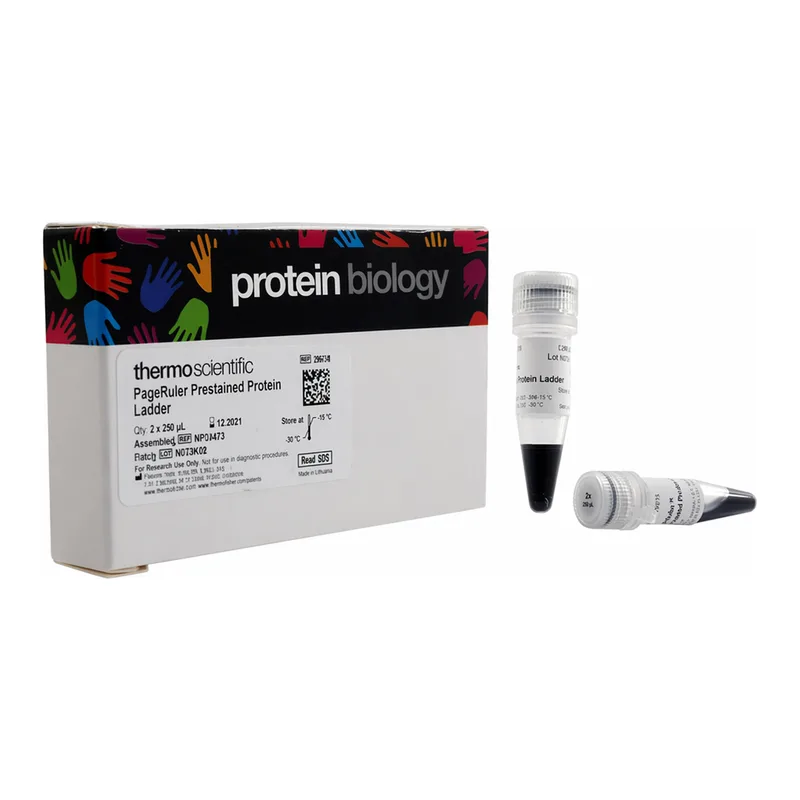 Thermo Fisher Scientific PageRuler Prestained Protein Ladder, 10 to 180 kDa, 2 x 250 μL