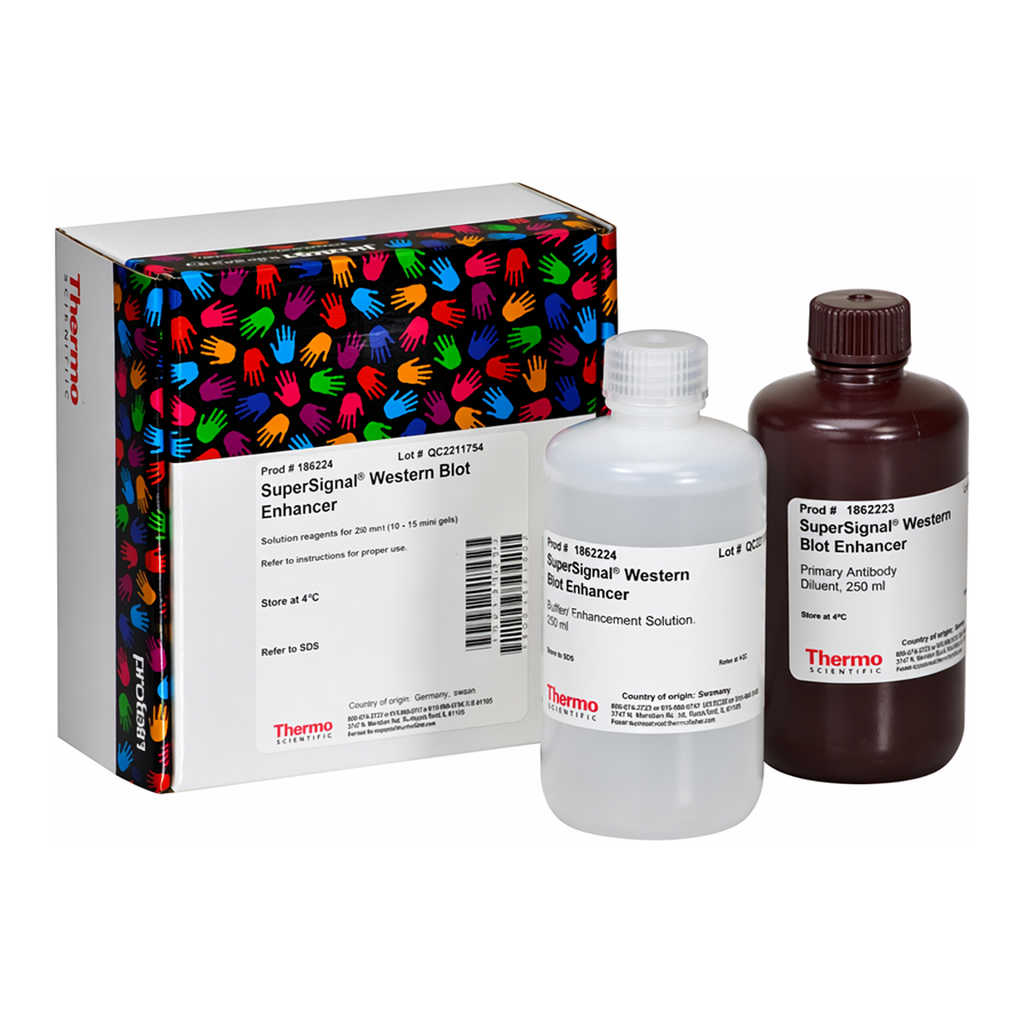 Thermo Fisher Scientific SuperSignal Western Blot Enhancer, 500 mL