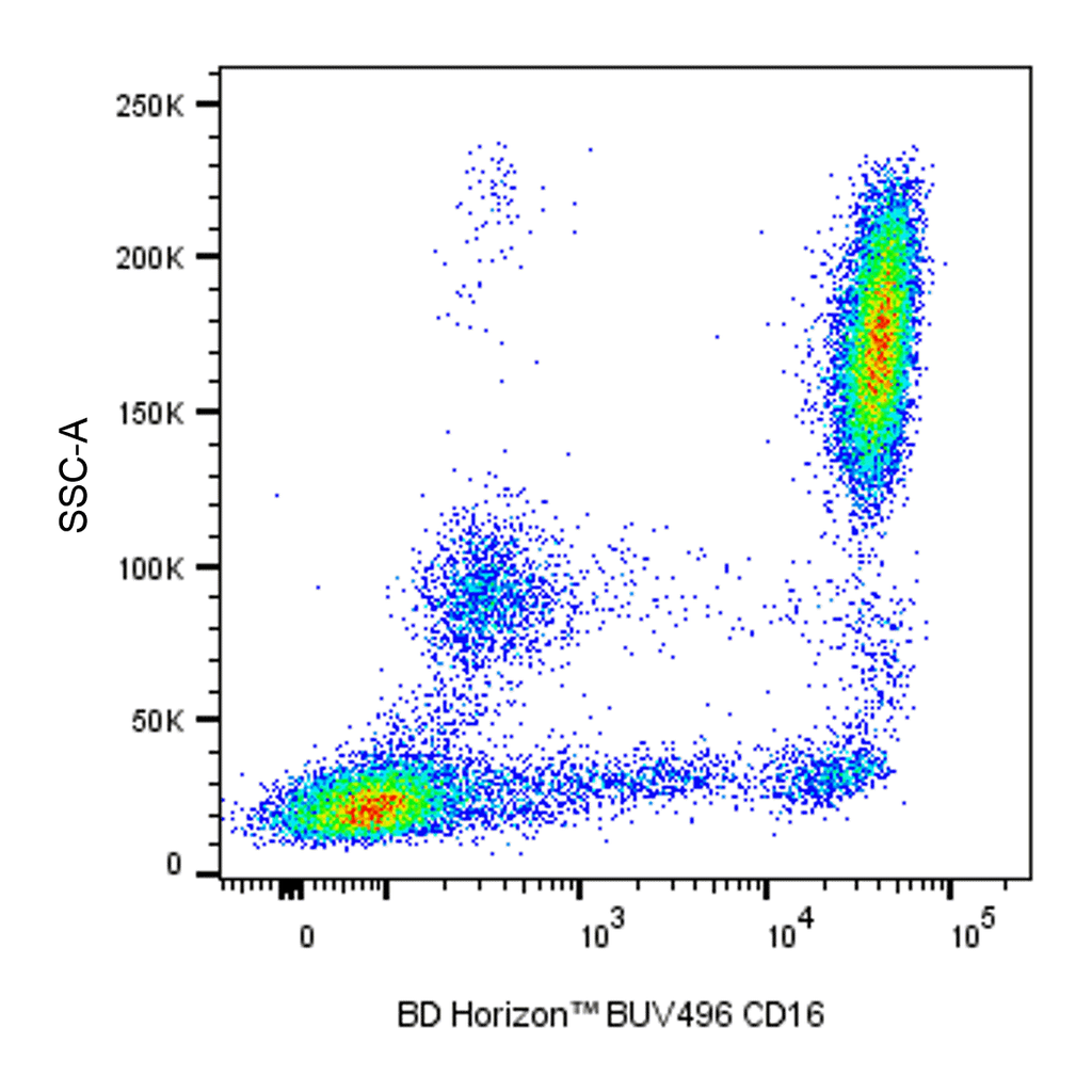 BD BUV496 Mouse Anti-Human CD16