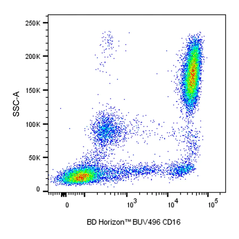 BD BUV496 Mouse Anti-Human CD16