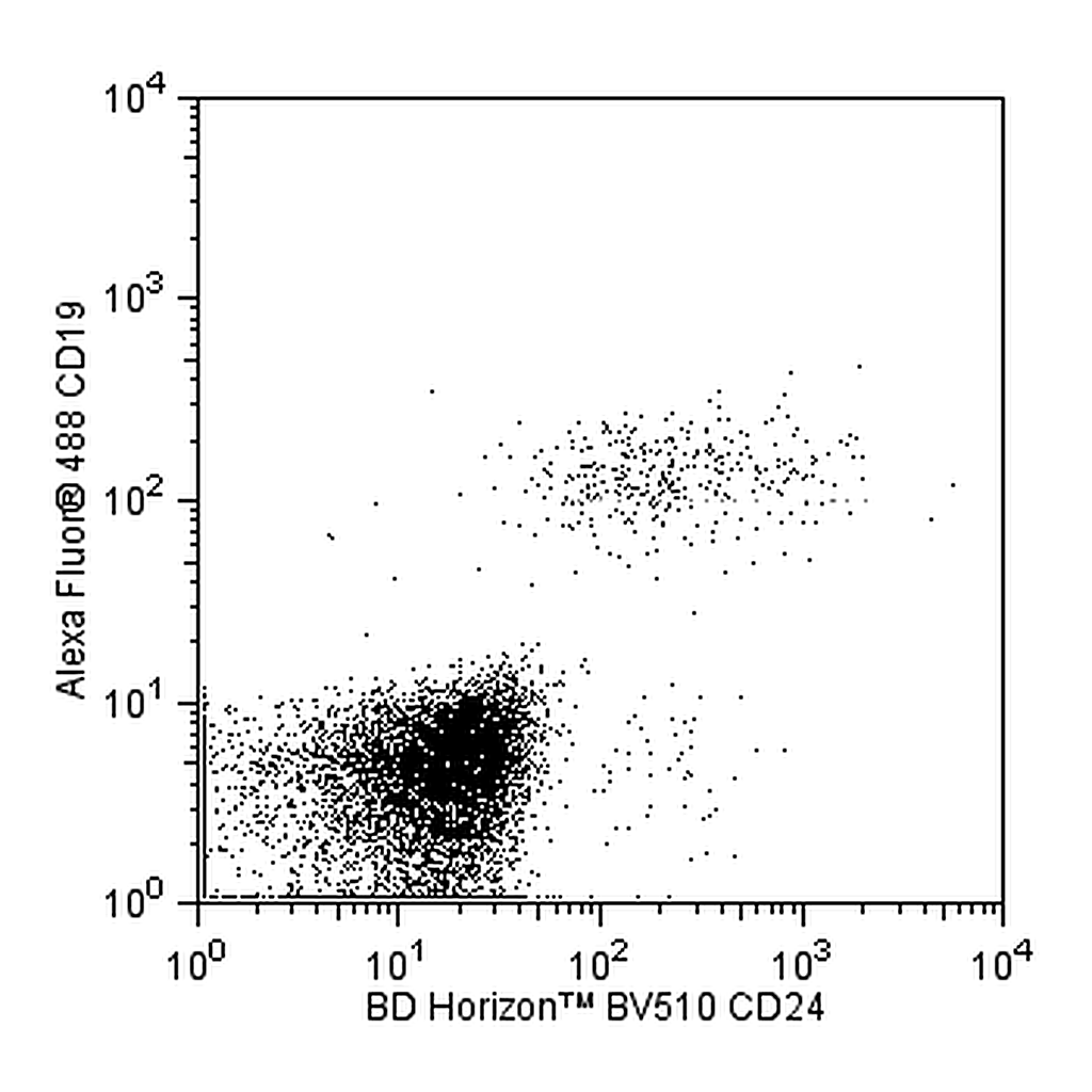 BD BV510 Mouse Anti-Human CD24