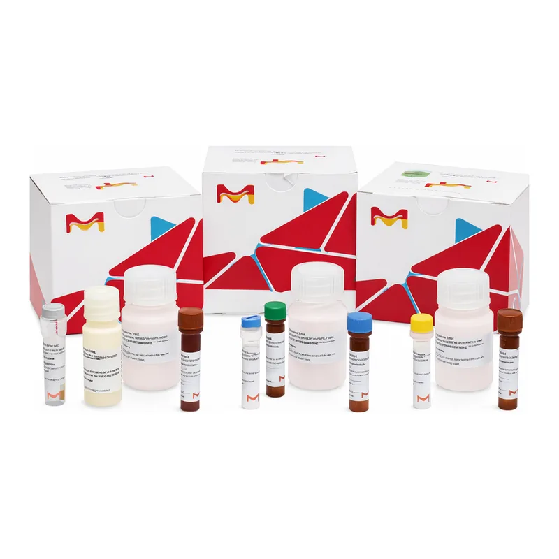 Merck Caspase-3 Assay Kit