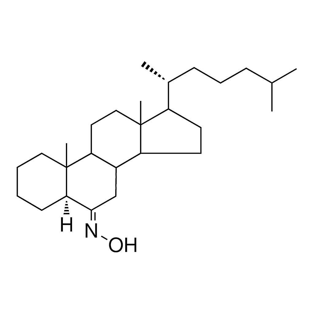 Merck 6-HYDROXIMINO-5-ALPHA-CHOLESTA - 1 MG&