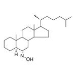 Merck 6-HYDROXIMINO-5-ALPHA-CHOLESTA - 1 MG&