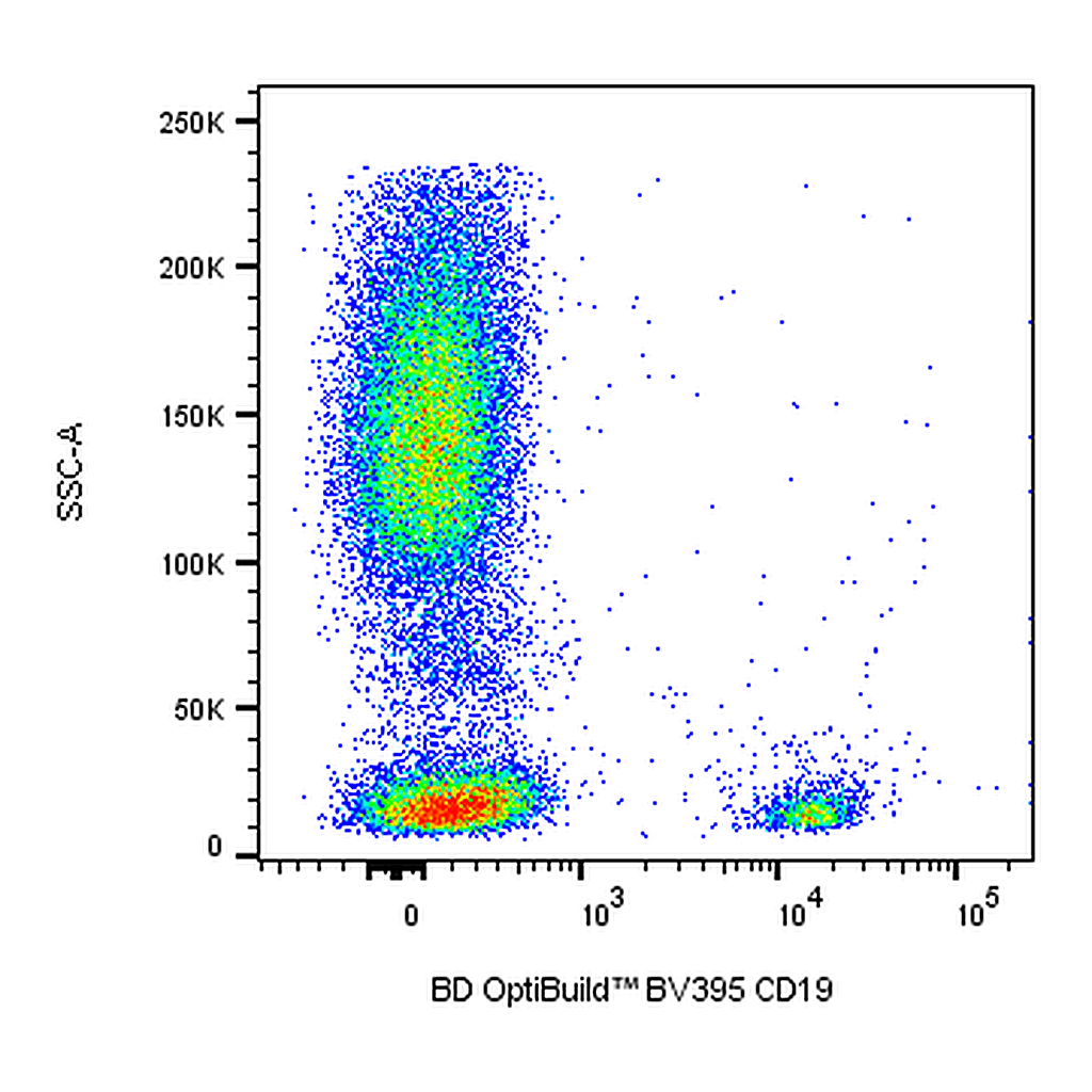 BD BUV395 Mouse Anti-Human CD19