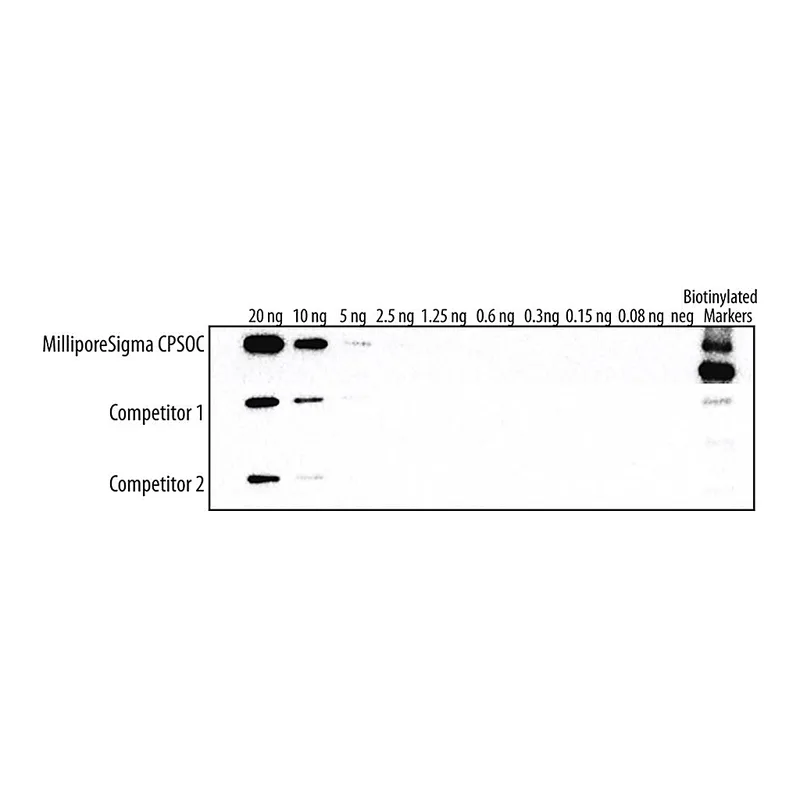 Merck Chemiluminescent Peroxidase Substrate