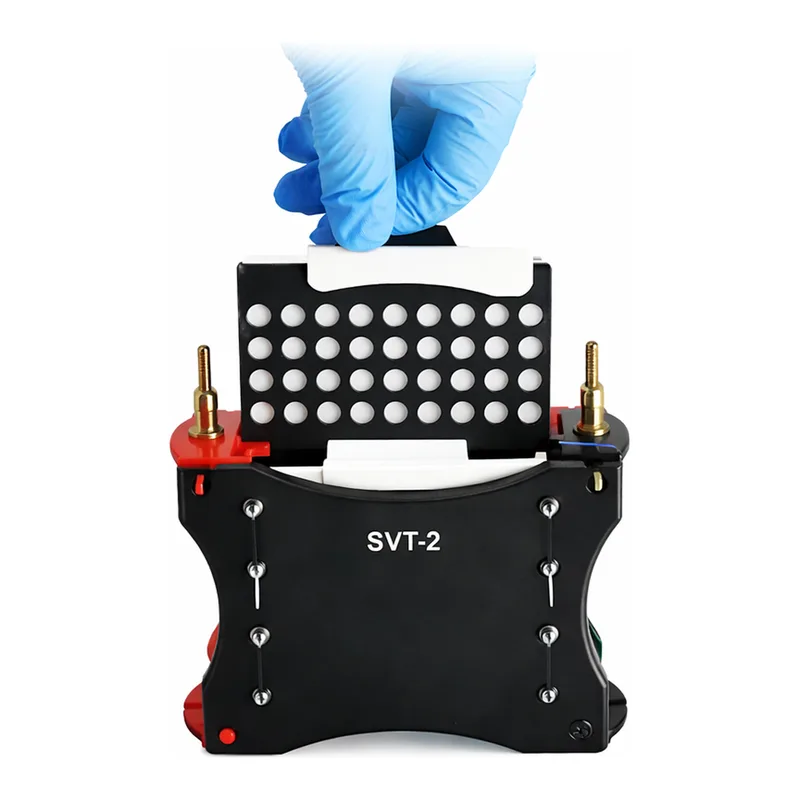 Servicebio Electrophoresis System (Transfer)