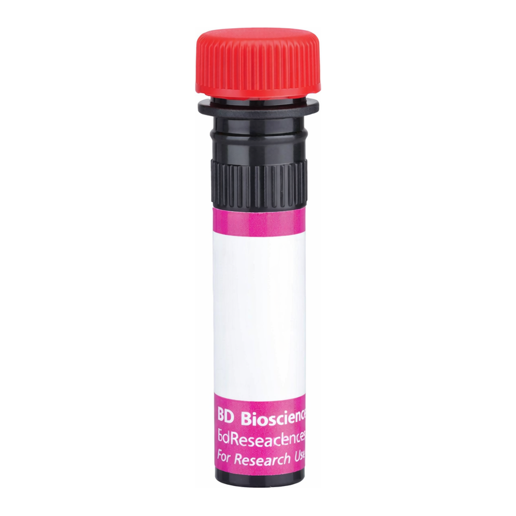 BD BV711 Rat Anti-Mouse IgG2a/IgG2b