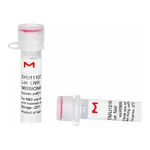 Merck MISSION(R) esiRNA