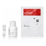 Thermo Fisher Scientific Qdot 655 ITK Streptavidin Conjugate Kit