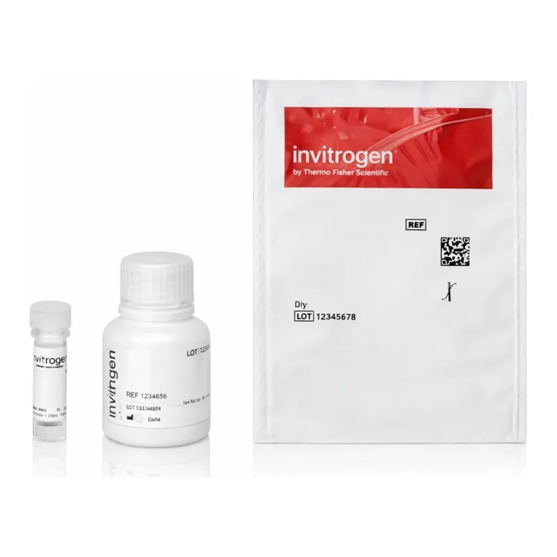 Thermo Fisher Scientific Qdot 655 ITK Streptavidin Conjugate Kit