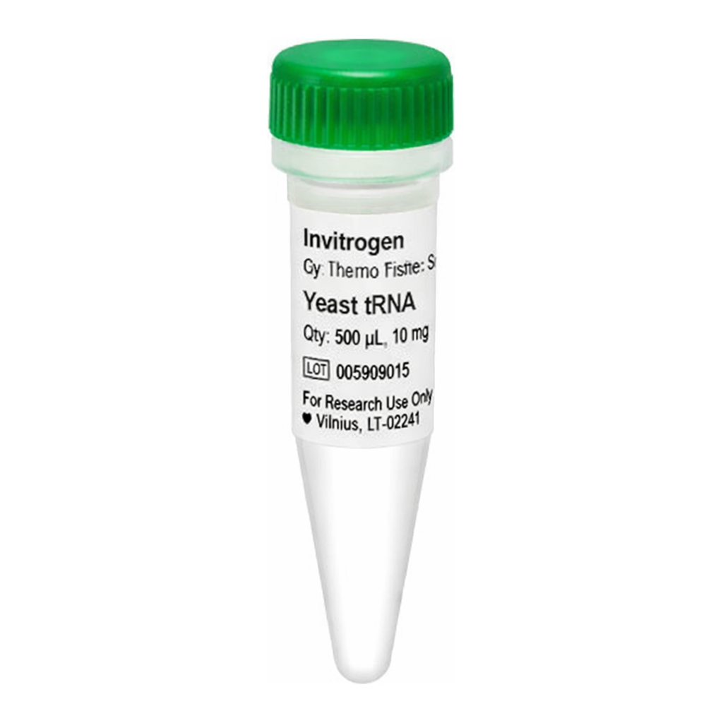 Thermo Fisher Scientific Yeast tRNA (10 mg/mL)