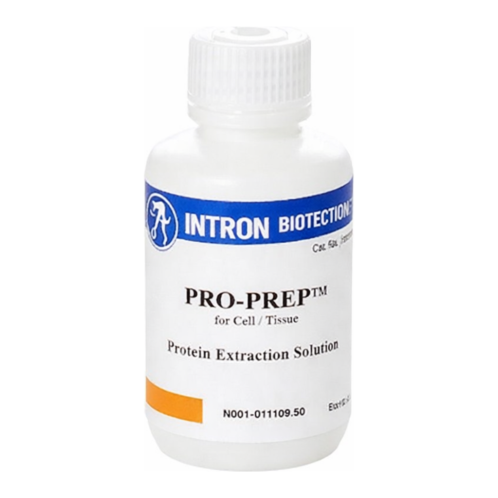 Intron PRO-PREP™ Protein Extraction Solution (C/T)