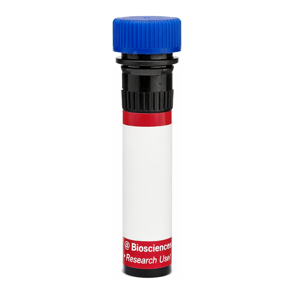 BD R718 Mouse Anti-Rat Marginal Zone B Cells