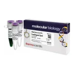 Thermo Fisher Scientific FastDigest DpnI, 50 μL (50 Reactions)