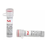 Merck MISSION(R) esiRNA