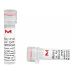 Merck MISSION(R) esiRNA