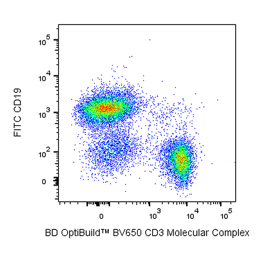 BD BV650 Rat Anti-Mouse CD3 molecular complex