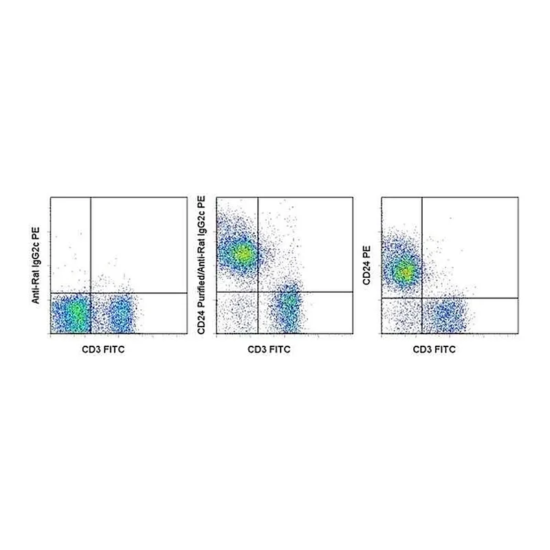 Thermo Fisher Scientific Mouse anti-Rat IgG2c Secondary Antibody, PE, eBioscience