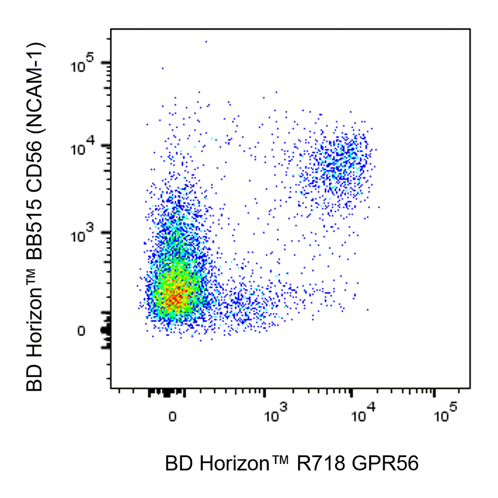BD R718 Mouse Anti-Human GPR56