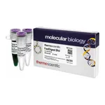 Thermo Fisher Scientific FastDigest BfoI