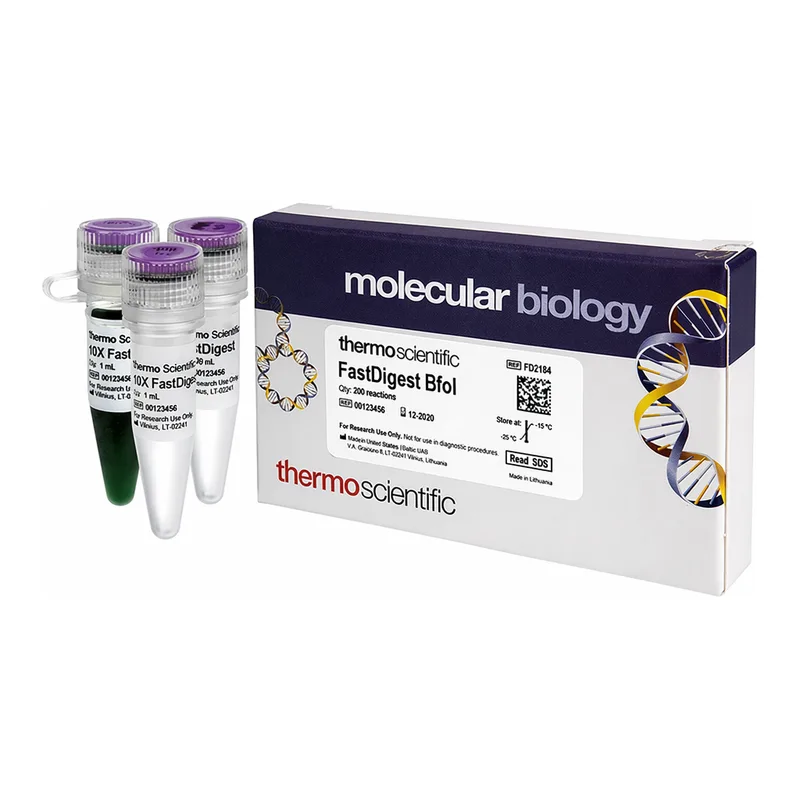 Thermo Fisher Scientific FastDigest BfoI