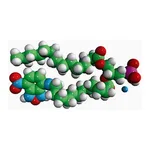 Merck 16:0-12:0 NBD PA
