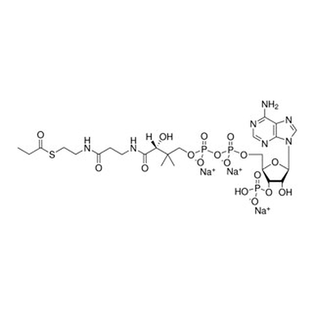 Merck 03:0 COENZYME A