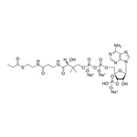Merck 03:0 COENZYME A