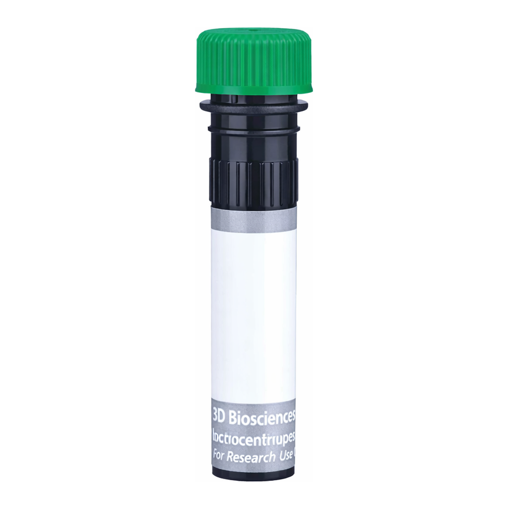 BD BUV563 Rat Anti-Mouse FR4 (Folate receptor 4)
