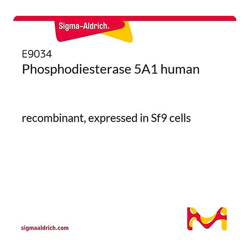 Merck Phosphodiesterase 5A1 human