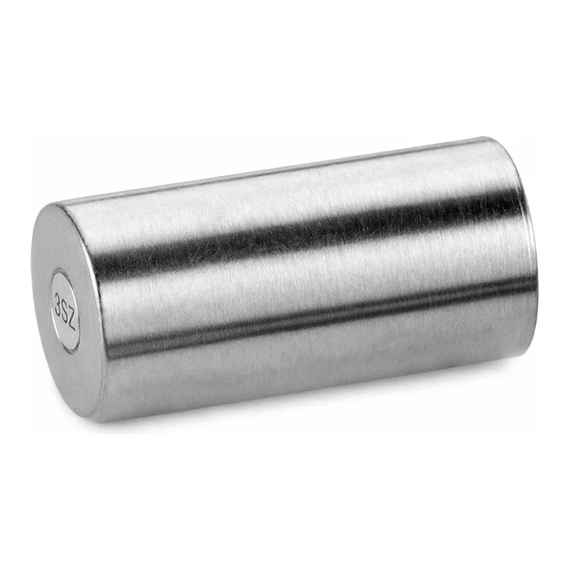 Waters MassPrep Online Desalting Cartridge