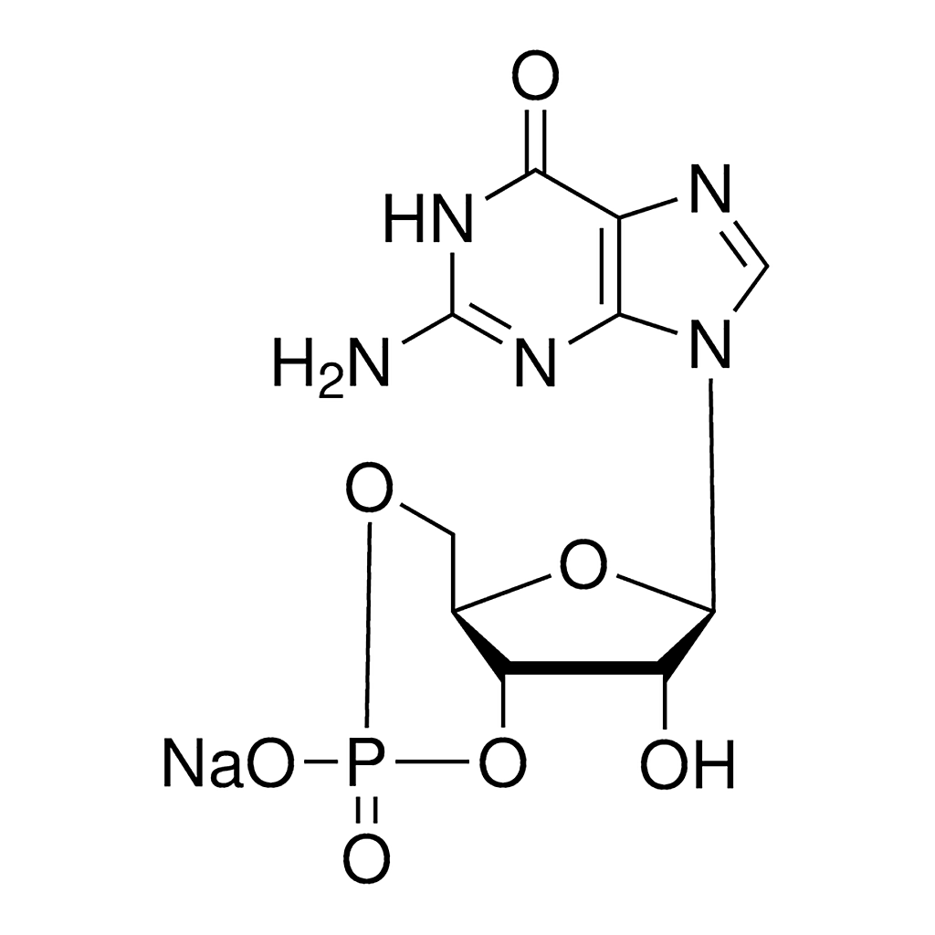 Merck Guanosine 3',5'-cyclic monophosphate sodium salt