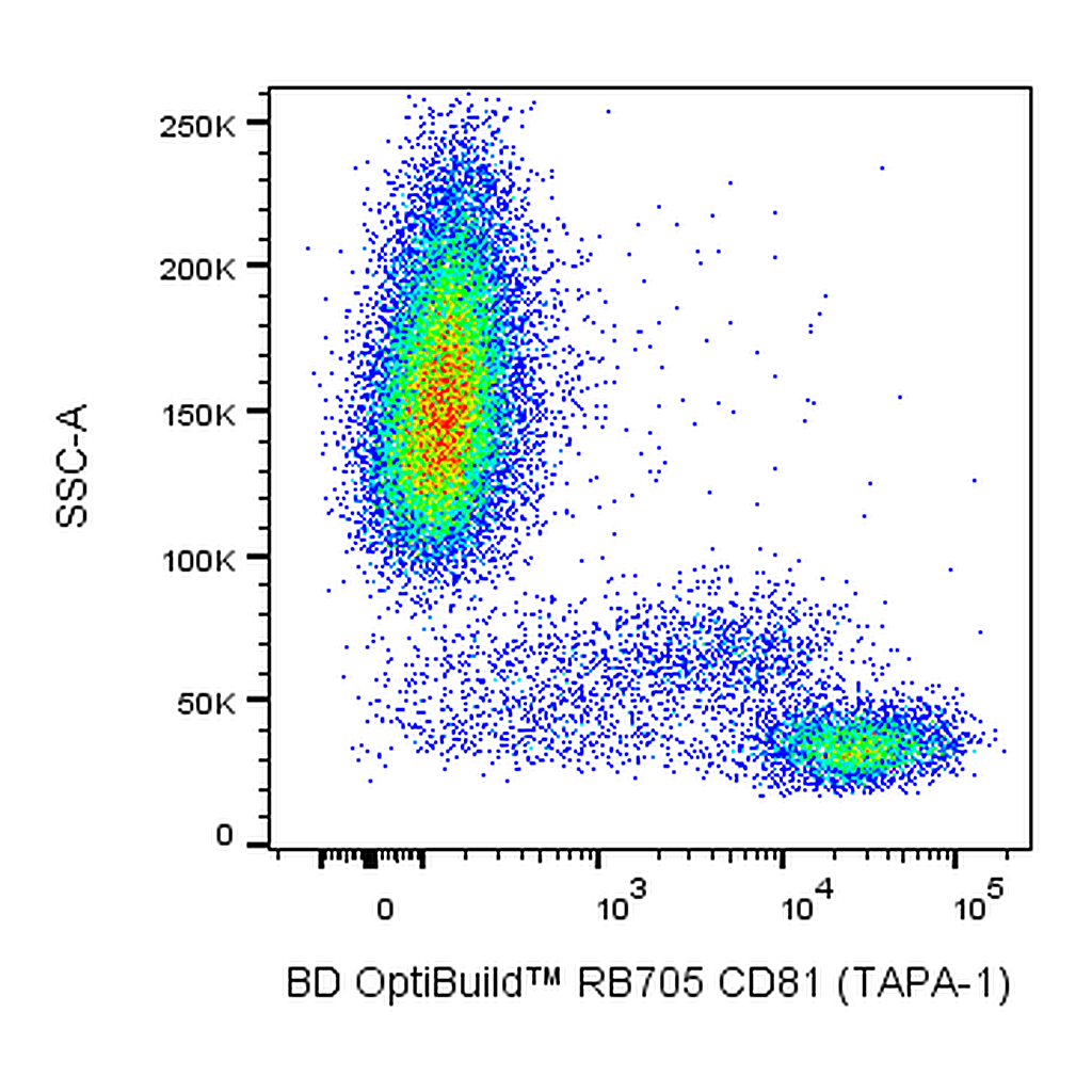 BD RB705 Mouse Anti-Human CD81 (TAPA-1)