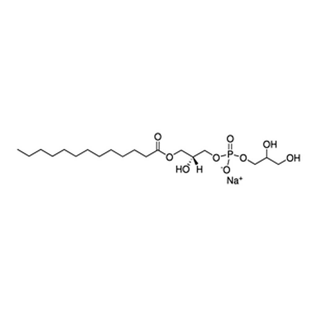 Merck 13:0 LYSO PG