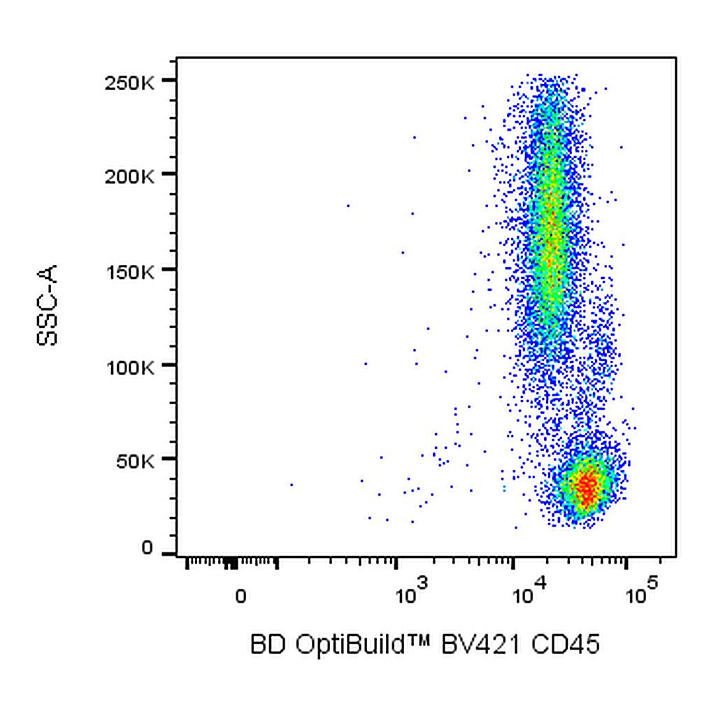 BD BV421 Mouse Anti-Non-Human Primate CD45