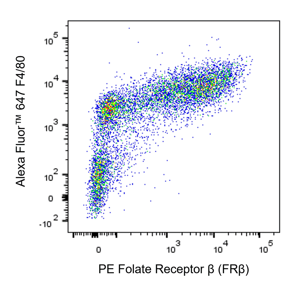 BD PE Rat Anti-Mouse Folate Receptor β (FRβ)