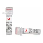 Merck MISSION(R) esiRNA