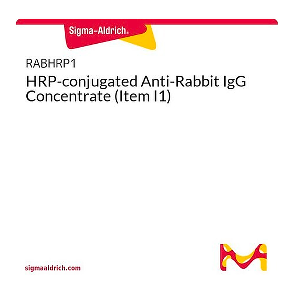 Merck HRP-conjugated Anti-Rabbit IgG Concentrate (Item I1)