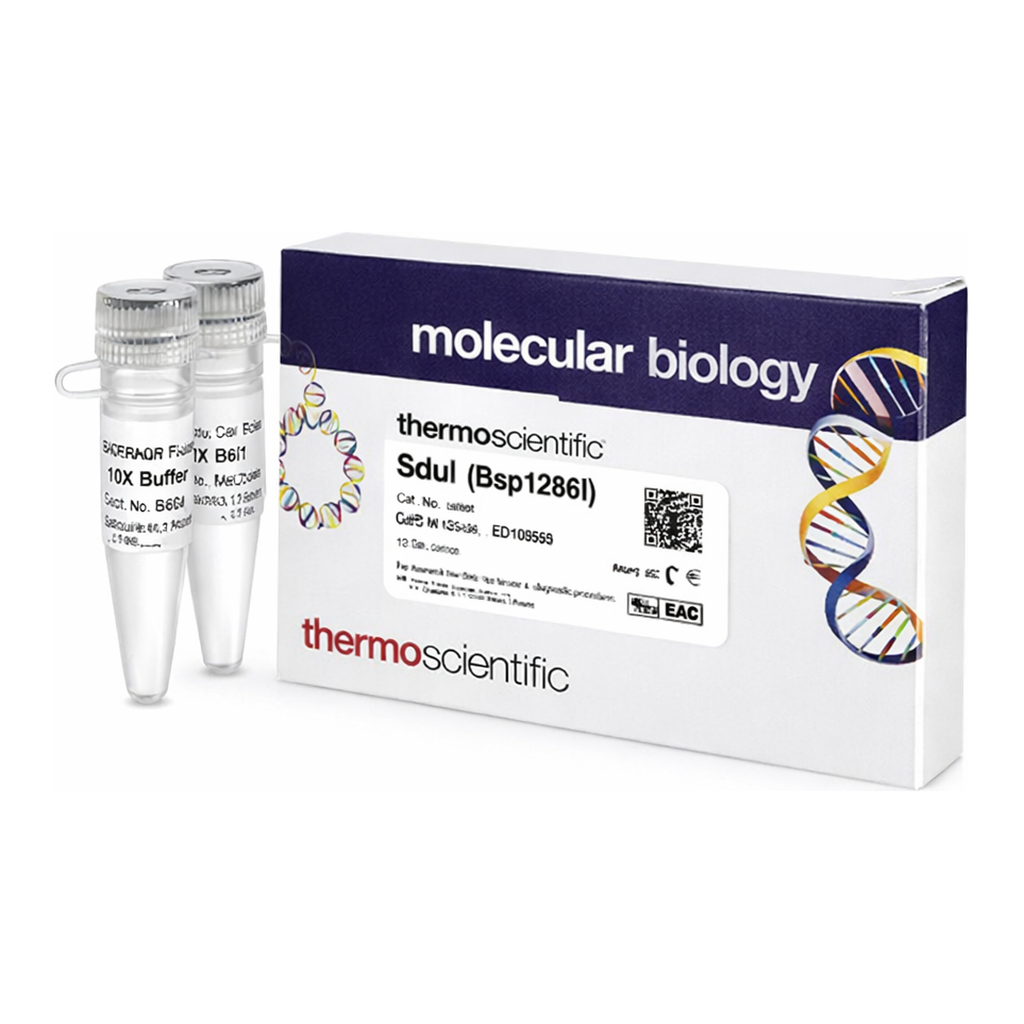 Thermo Fisher Scientific SduI (Bsp1286I) (10 U/&mu;L)