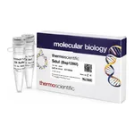 Thermo Fisher Scientific SduI (Bsp1286I) (10 U/μL)