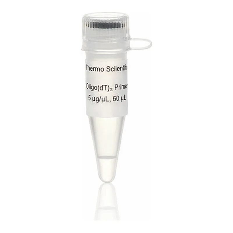 Thermo Fisher Scientific Oligo(dT)18 Primer, 60 μL