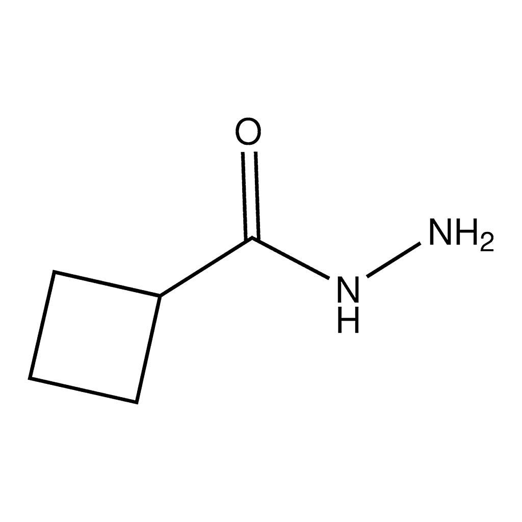 Merck Cyclobutanecarbohydrazide