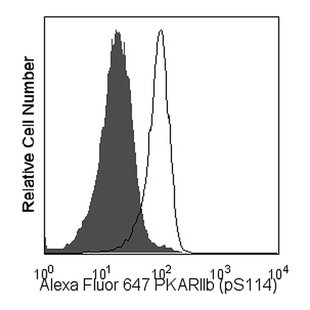 BD Alexa Fluor® 647 Mouse anti-PKA[RIIβ] (pS114)