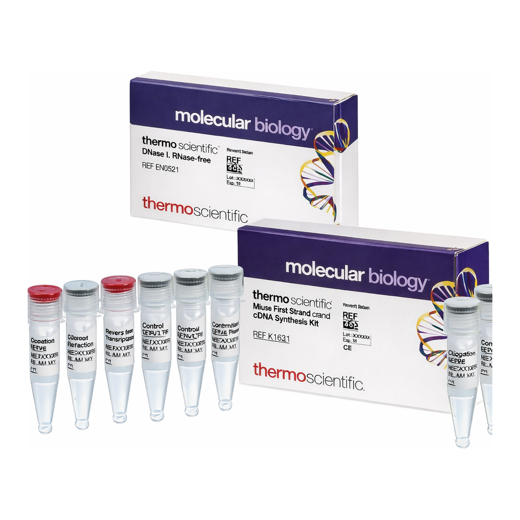 Thermo Fisher Scientific RevertAid H Minus First Strand cDNA Synthesis Kit, with DNase I, 20 reactions